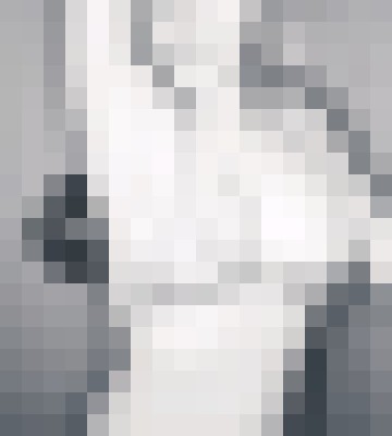 valoie_ Butler Salt Lake City, Utah Escort, BDSM, Massage, Verified Adult Service Provider, Companion in United States | 8