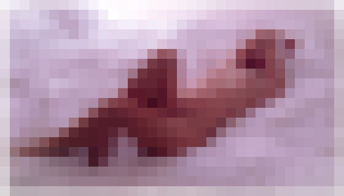 KYLIE HUNTER Los Angeles, California Escort, , Verified Adult Service Provider, Companion in United States | 5