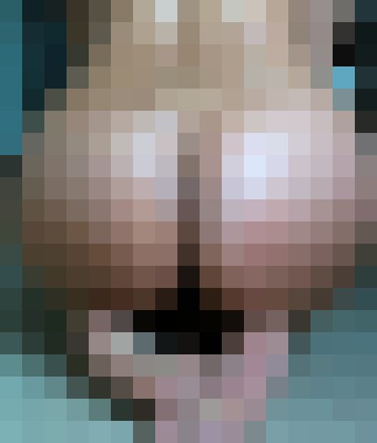 xonookie Chicago, Illinois Escort, Pornstar, BDSM, Verified Adult Service Provider, Companion in United States | 8