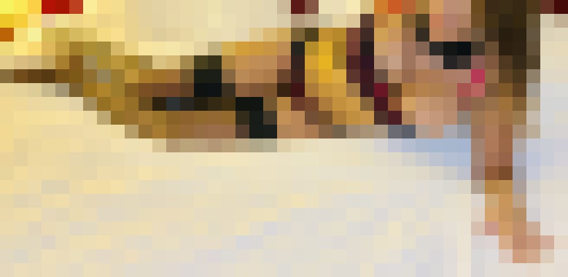 Heather Hollister Des Moines, Iowa Escort, , Verified Adult Service Provider, Companion in United States | 8
