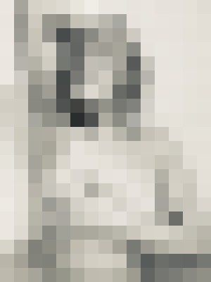 Teegan Denver, Colorado Escort, DUO, Verified Adult Service Provider, Companion in United States | 13
