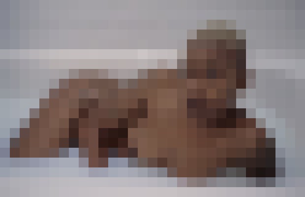 Marie-Lynn Nashville-Davidson, Tennessee Escort, , Verified Adult Service Provider, Companion in United States | 7