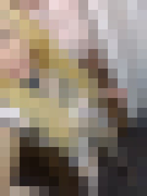 mittsy Clarksville, Tennessee Escort, , Verified Adult Service Provider, Companion in United States | 3
