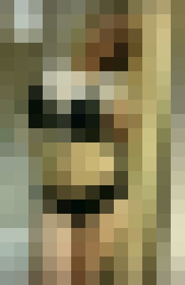 gia noelle Evansville, Indiana Escort, Pornstar, BDSM, Massage, Verified Adult Service Provider, Companion in United States | 10