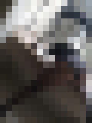 pinkducci Houston, Texas Escort, Pornstar, Verified Adult Service Provider, Companion in United States | 7