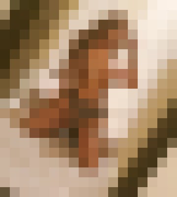TheBaileyRhea Houston, Texas Escort, Pornstar, BDSM, DUO, Couple, Verified Adult Service Provider, Companion in United States | 10