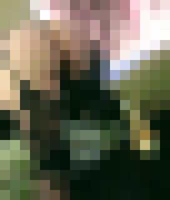 Essence Ontario, California Escort, Pornstar, Verified Adult Service Provider, Companion in United States | 6