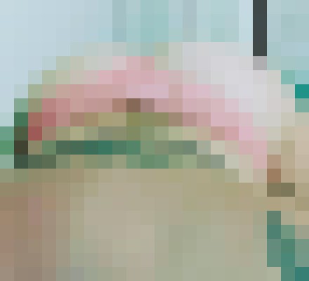 TheRealMiniMya Fort Lauderdale, Florida Escort, Pornstar, Verified Adult Service Provider, Companion in United States | 4