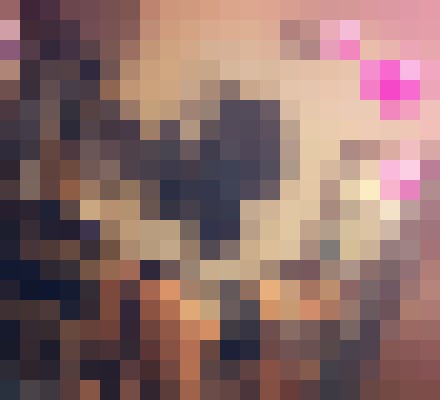 Brianna_ Melbourne, Florida Escort, BDSM, DUO, Couple, Massage, Verified Adult Service Provider, Companion in United States | 6