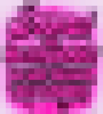 Kitty Blanco Boston, Massachusetts Escort, BDSM, DUO, Couple, Massage, Verified Adult Service Provider, Companion in United States | 6