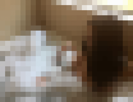 Bunny617 Boston, Massachusetts Escort, , Verified Adult Service Provider, Companion in United States | 8