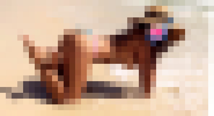 Elizabeth Moore Washington DC Escort, Pornstar, DUO, Couple, Verified Adult Service Provider, Companion in United States | 8