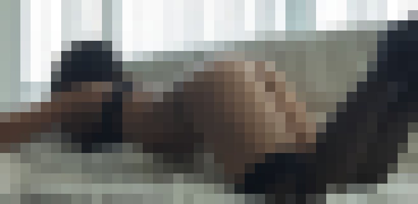 Elizabeth Moore Washington DC Escort, Pornstar, DUO, Couple, Verified Adult Service Provider, Companion in United States | 15