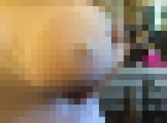 Sindi Sinns Spokane, Washington Escort, Pornstar, BDSM, Massage, Verified Adult Service Provider, Companion in United States | 18