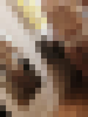 Lilthickhips19 Memphis, Tennessee Escort, Massage, Verified Adult Service Provider, Companion in United States | 18