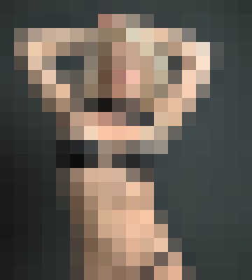 Marilyn Redd Chicago, Illinois Escort, , Verified Adult Service Provider, Companion in United States | 3
