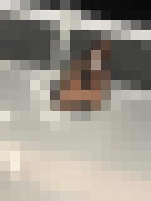 Alex6918 Washington DC Escort, Pornstar, Verified Adult Service Provider, Companion in United States | 7