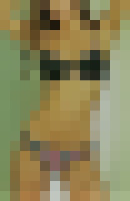 Analia Las Vegas, Nevada Escort, , Verified Adult Service Provider, Companion in United States | 2