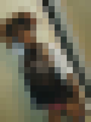 tasha_ Albuquerque, New Mexico Escort, , Verified Adult Service Provider, Companion in United States | 9