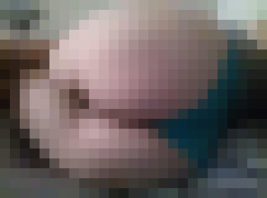 ThickMariah Phoenix, Arizona Escort, Pornstar, Massage, Verified Adult Service Provider, Companion in United States | 4
