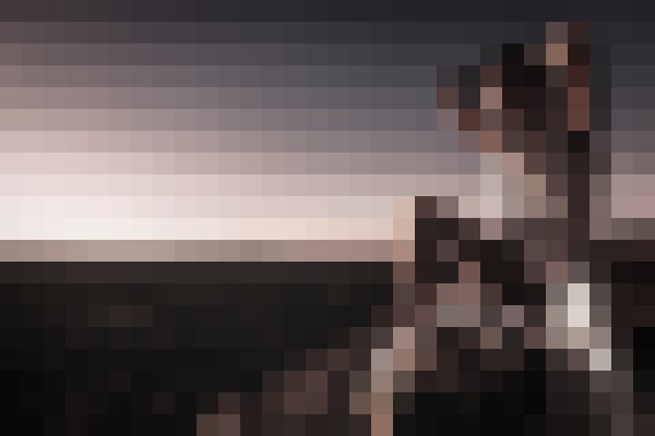 Special K Salt Lake City, Utah Escort, Pornstar, DUO, Couple, Verified Adult Service Provider, Companion in United States | 16