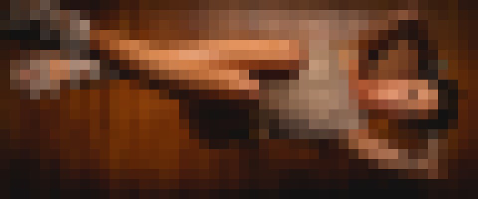 Special K Salt Lake City, Utah Escort, Pornstar, DUO, Couple, Verified Adult Service Provider, Companion in United States | 17