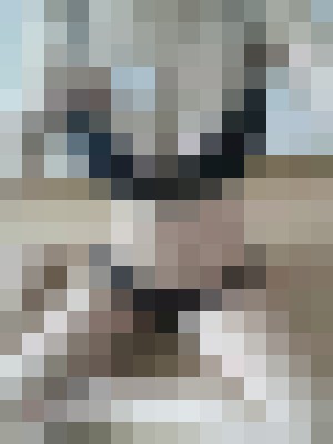 Joah Seoul Escort, , Verified Adult Service Provider, Companion in South Korea | 2