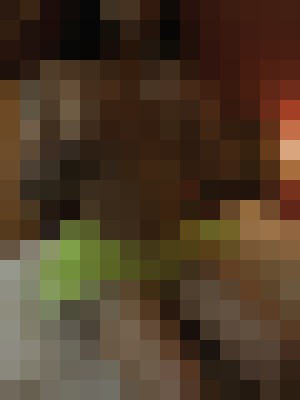 Roxi Atlanta, Georgia Escort, Pornstar, Verified Adult Service Provider, Companion in United States | 6