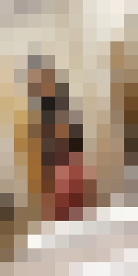 Andrea_New Denver, Colorado Escort, DUO, Verified Adult Service Provider, Companion in United States | 14
