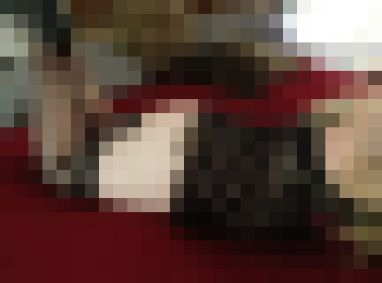 Aroola Las Vegas, Nevada Escort, Pornstar, Verified Adult Service Provider, Companion in United States | 4