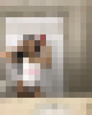 Avalevy San Jose, California Escort, , Verified Adult Service Provider, Companion in United States | 5