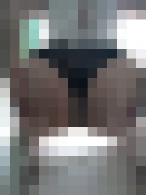 Elizabeth Harlett Portland, Oregon Escort, BDSM, Verified Adult Service Provider, Companion in United States | 10