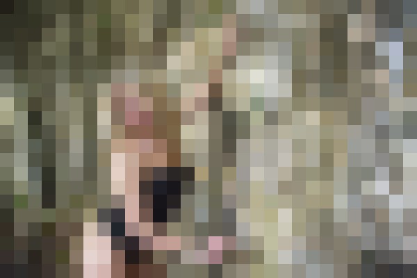 Miss Kera New York Escort, BDSM, DUO, Verified Adult Service Provider, Companion in United States | 6