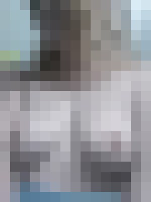 LilVixen Kansas City, Missouri Escort, , Verified Adult Service Provider, Companion in United States | 8