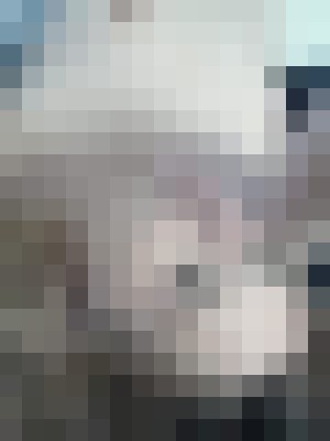 LilVixen Kansas City, Missouri Escort, , Verified Adult Service Provider, Companion in United States | 9