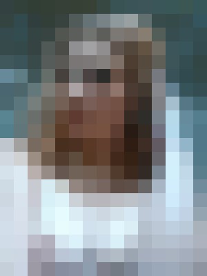 LilVixen Kansas City, Missouri Escort, , Verified Adult Service Provider, Companion in United States | 10