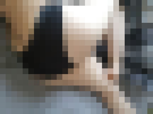 Candie Chicago, Illinois Escort, Pornstar, DUO, Verified Adult Service Provider, Companion in United States | 8