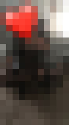 HoneyCum Antioch, California Escort, Pornstar, Massage, Verified Adult Service Provider, Companion in United States | 7