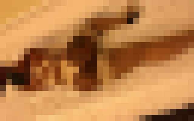 sextopolis San Antonio, Texas Escort, Pornstar, BDSM, DUO, Massage, Verified Adult Service Provider, Companion in United States | 4