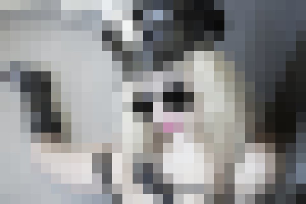 Miss Kera 1 New Orleans, Louisiana Escort, , Verified Adult Service Provider, Companion in United States | 12