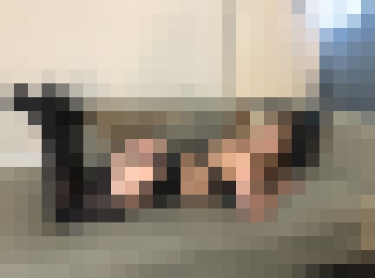 Lana247 Chicago, Illinois Escort, Pornstar, BDSM, Verified Adult Service Provider, Companion in United States | 6