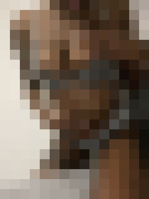 Ebony Succubus Dallas, Texas Escort, Pornstar, BDSM, DUO, Couple, Verified Adult Service Provider, Companion in United States | 16