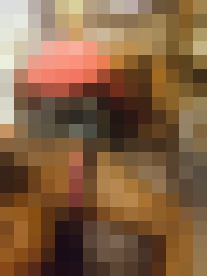 Chrissy Reno, Nevada Escort, Pornstar, Verified Adult Service Provider, Companion in United States | 5