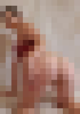 Bonnie25 Little Rock, Arkansas Escort, , Verified Adult Service Provider, Companion in United States | 4