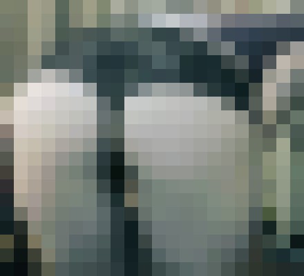 N1c0l3 Denver, Colorado Escort, , Verified Adult Service Provider, Companion in United States | 6