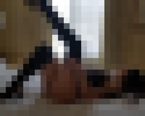 Nila rose Charlotte, North Carolina Escort, , Verified Adult Service Provider, Companion in United States | 10