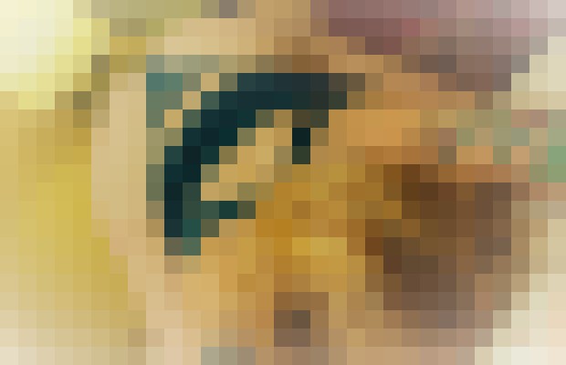 IvoryofHouston Houston, Texas Escort, Pornstar, BDSM, Verified Adult Service Provider, Companion in United States | 6