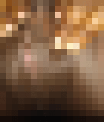 Ariellovemoney New York Escort, , Verified Adult Service Provider, Companion in United States | 3