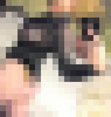 Lbabyredd Houston, Texas Escort, Pornstar, BDSM, DUO, Couple, Massage, Verified Adult Service Provider, Companion in United States | 7