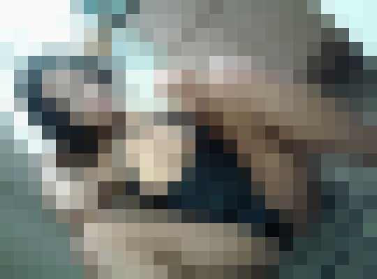 Mimishae Pittsburgh, Pennsylvania Escort, , Verified Adult Service Provider, Companion in United States | 6